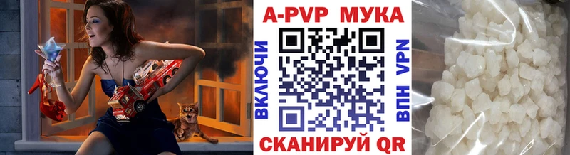 Альфа ПВП СК  что такое   Балтийск 