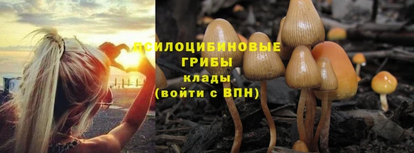 каннабис Богородицк