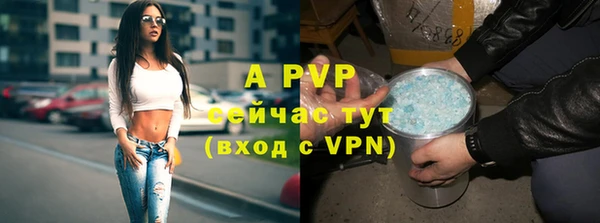 амфетамин Богданович
