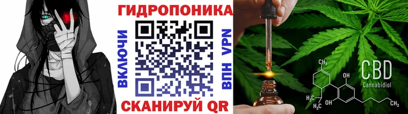 Канабис Ganja наркота Балтийск